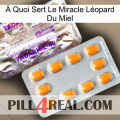 À Quoi Sert Le Miracle Léopard Du Miel new12